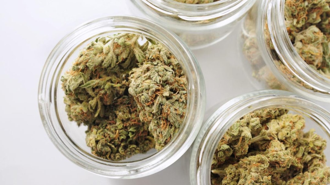Long-Term Cannabis Storage