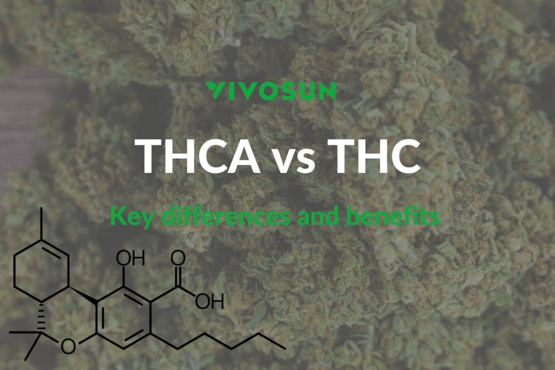 THCA vs THC: A Comprehensive Comparison