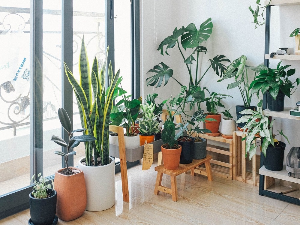 What Size of Smart Pot Do I Need for My Garden
