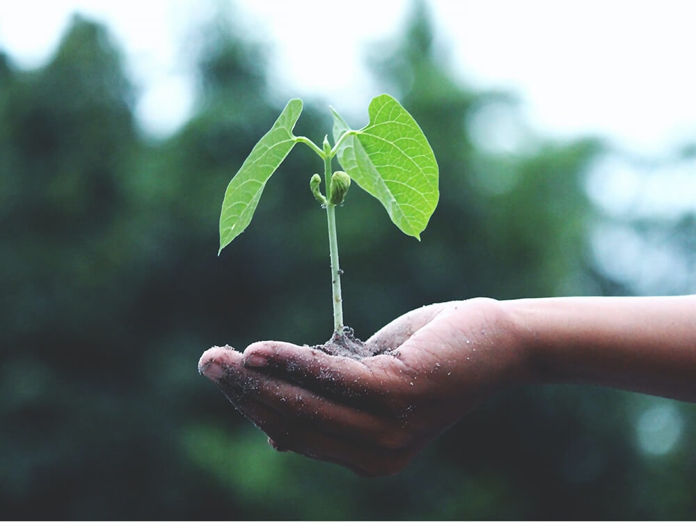 Every Day Is Earth Day! Let’s Remember Why It Is Important