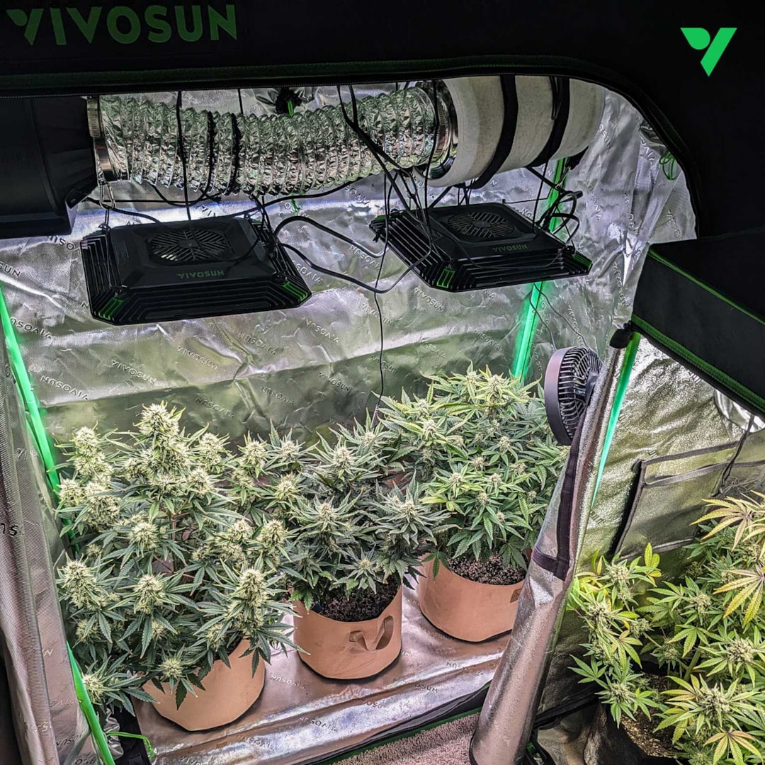 Guide to keep Your Grow Tent Undetectable and Smell-Proof