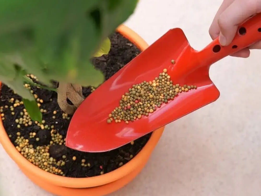 The Easy Way to Fix Nutrient Burn