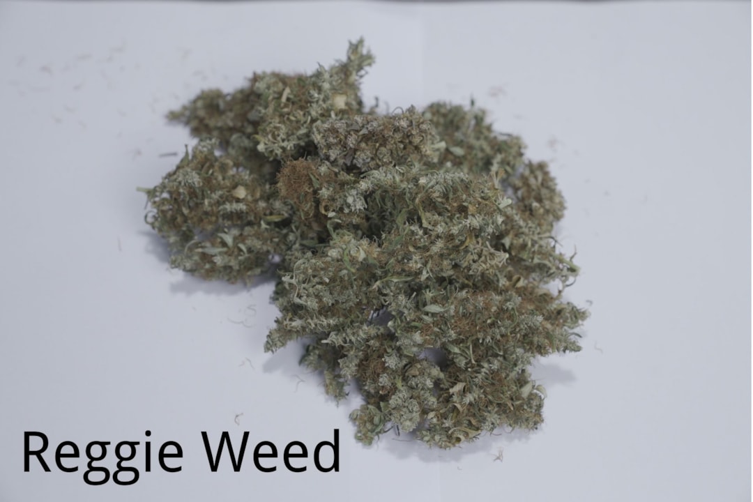 Reggie Weed: What Is It and Is It Safe to Smoke?