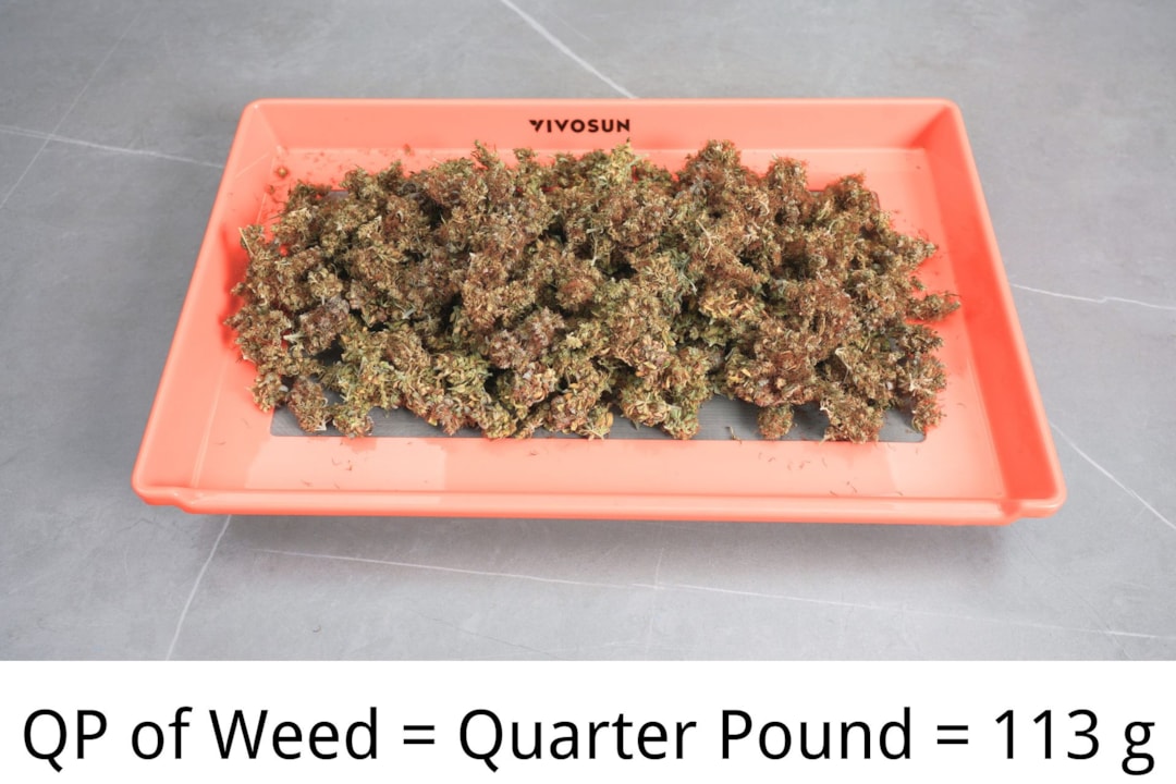 How Much is a QP: Understanding the Cost and Measurement of Weed