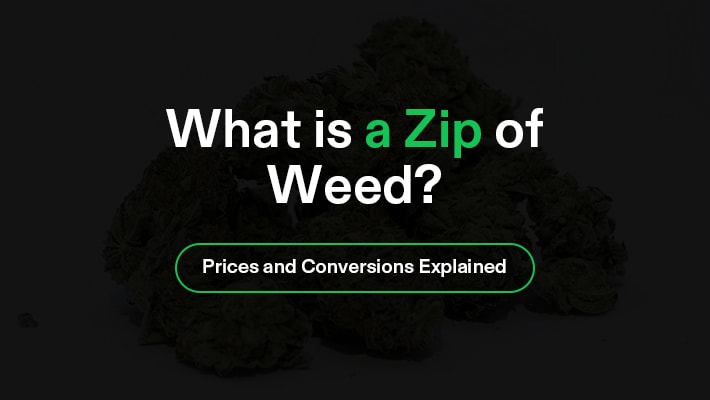 Was ist ein Zip Weed? (Preise und Umrechnungen erklärt)