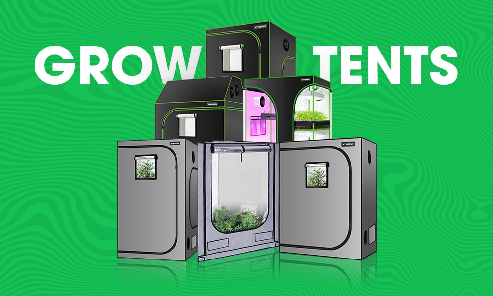 The Ultimate Grow Tent Buying Guide for Beginners