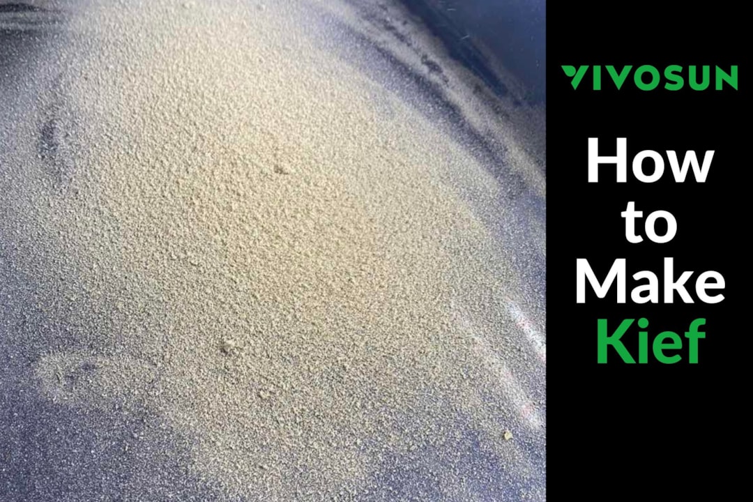 The Ultimate Guide to Kief: What It Is and How to Use It