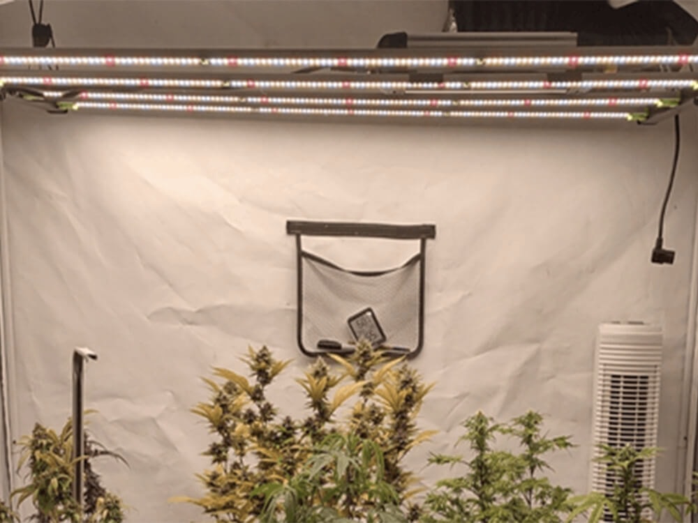 VIVOSUN VS4300 LED Grow Light Review