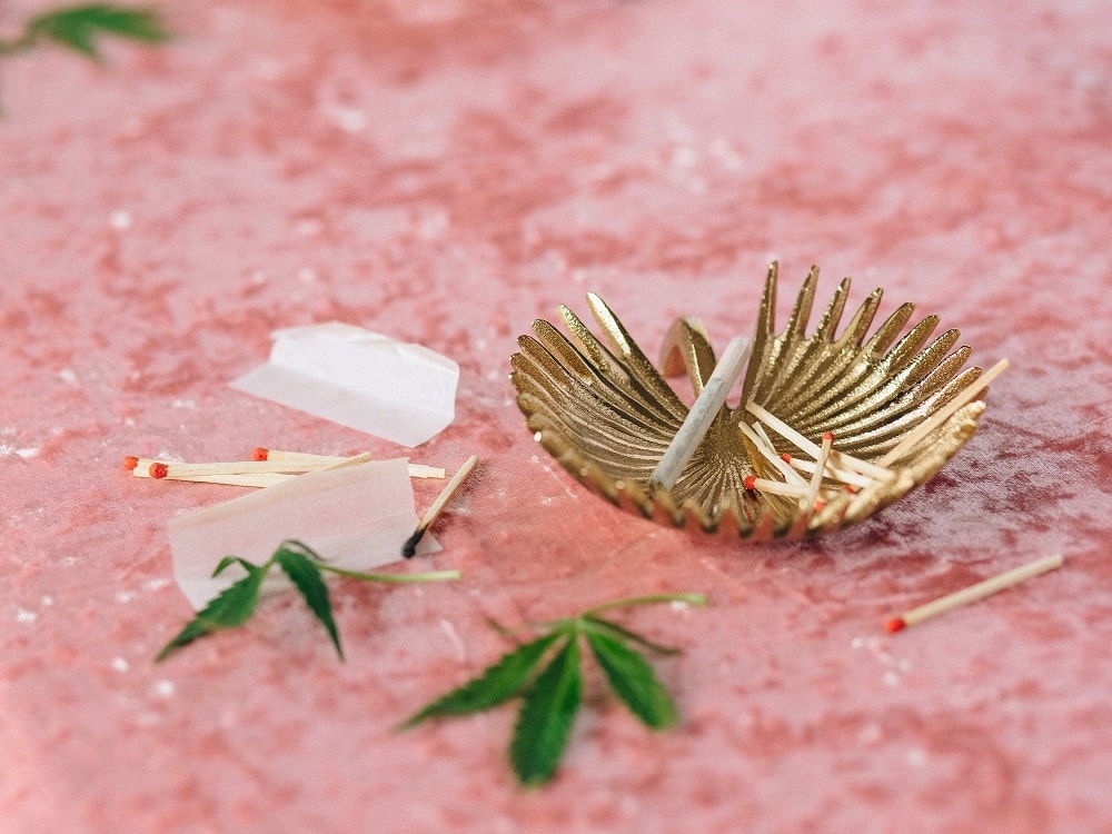 How to Increase Your Plant’s THC?