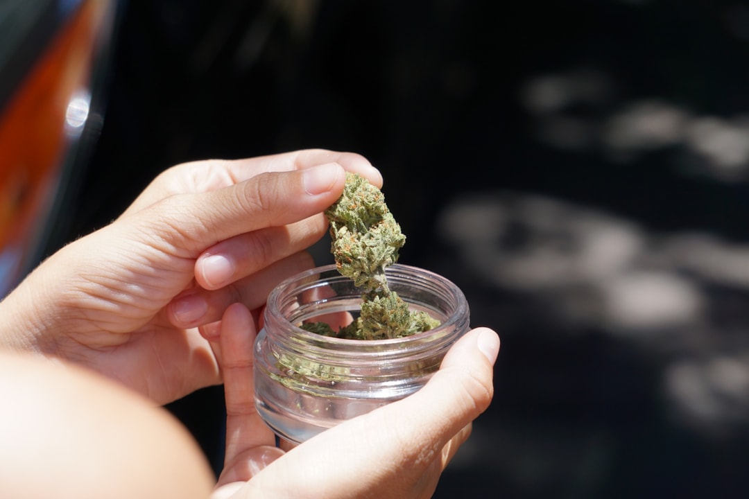 Keep Cannabis in Storage: What Should You Do?