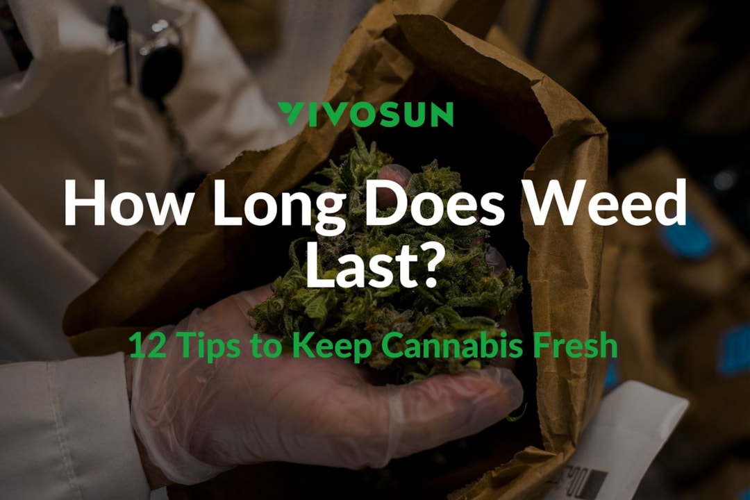 How Long Does Weed Last? 12 Essential Tips to Keep Your Cannabis Fresh and Potent