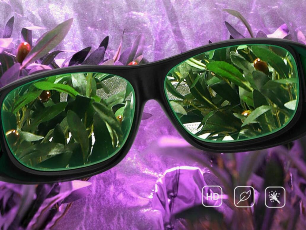 Grow Room Glasses are Necessary for Your Indoor Grow