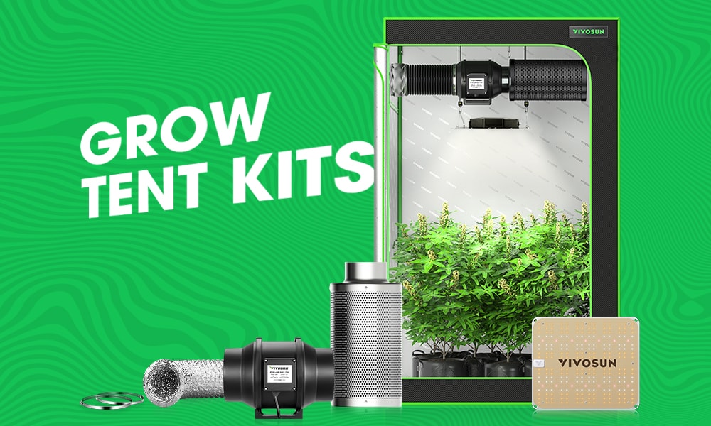 Grow Tent Kits Buying Guide for Beginners