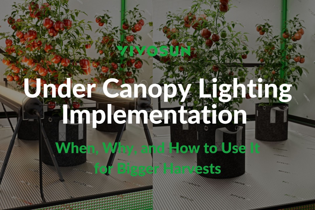 Under Canopy Lighting: When, Why, and How to Use It for Bigger Harvests