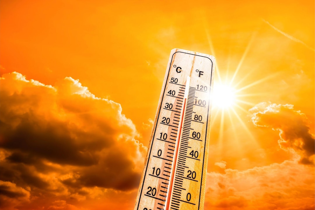 Growing Cannabis During A Heatwave
