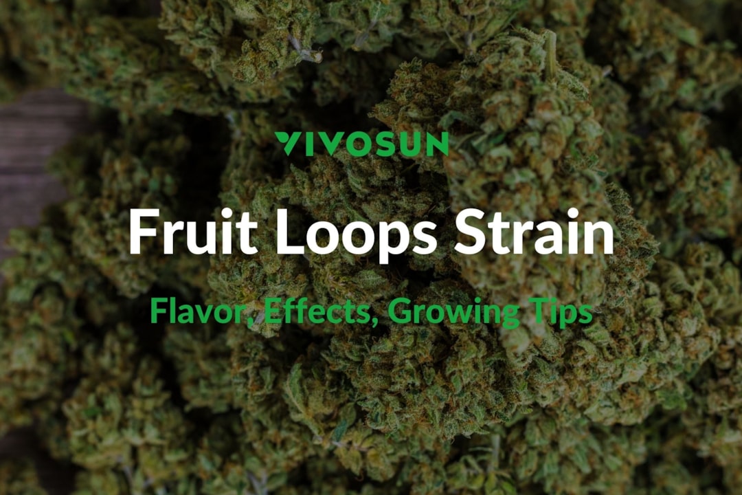Fruit Loops Strain: Everything You Need to Know