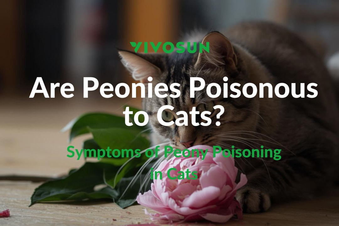 Are Peonies Poisonous to Cats? What Cat Owners Should Know