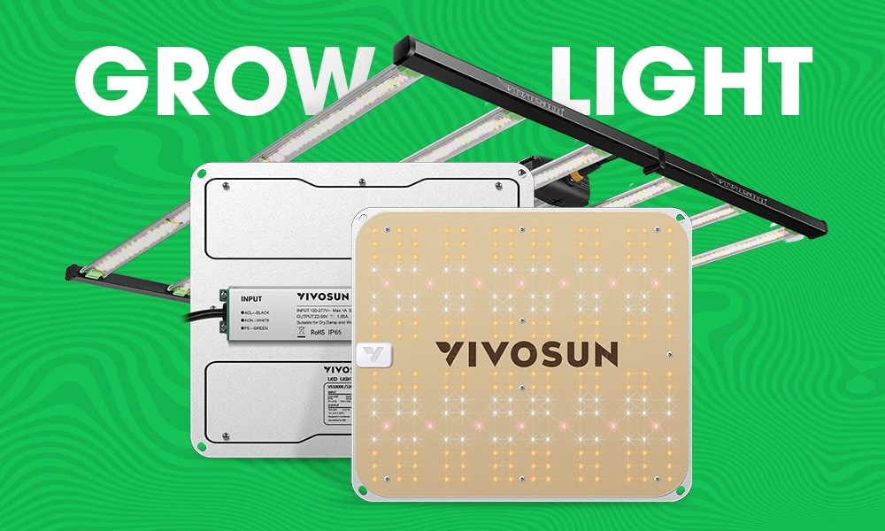 Grow Light for Indoor Plants Buying Guide