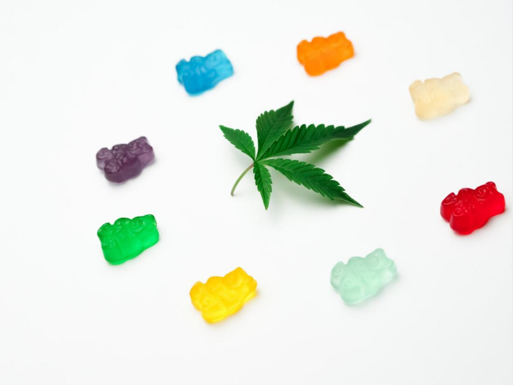 How to Improve Cannabis Germination Rates (focus on 8 steps)