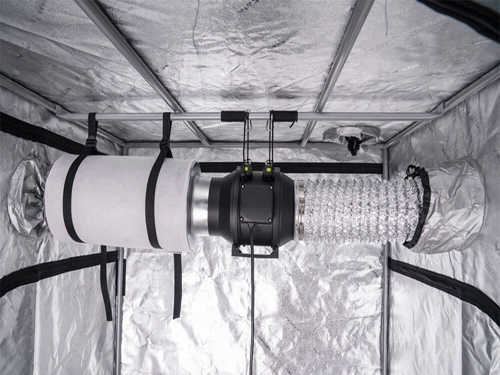 How Often Should I Run My Grow Tent Ventilation