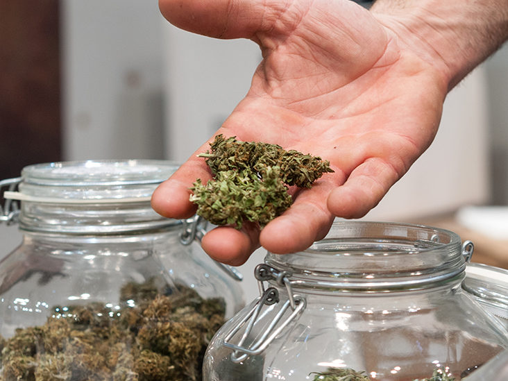 How to Tell When Your Buds Have Cured Properly?