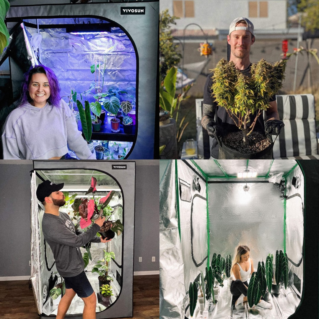 Love What You Grow - Vivosun