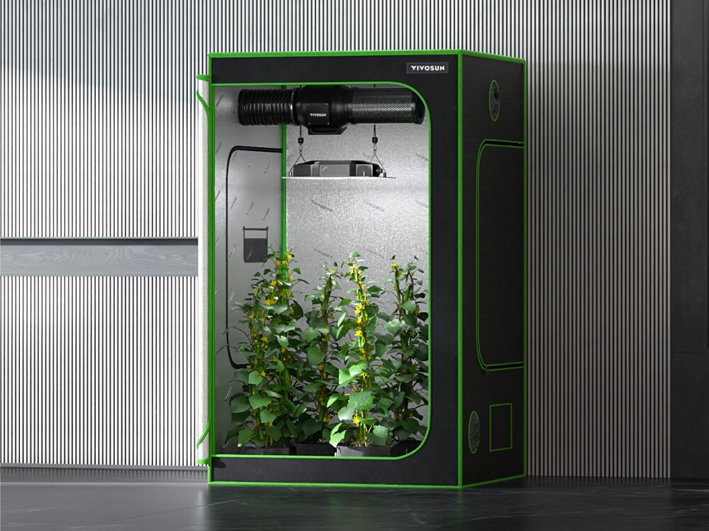 How to Set Up A Grow Tent?