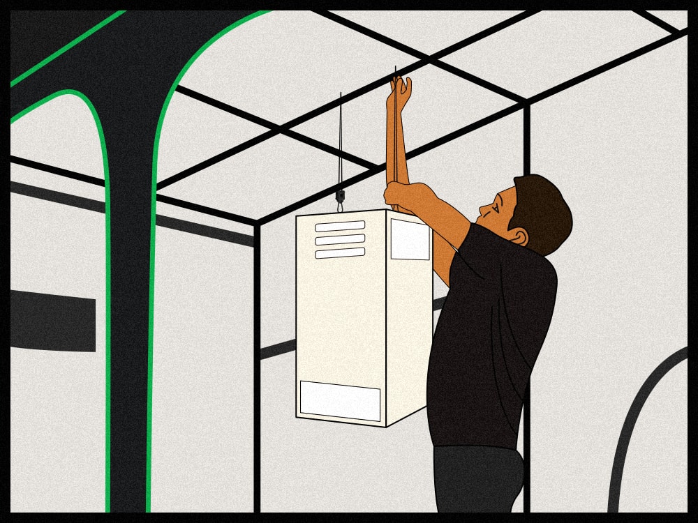 How Does Adding CO2 to A Grow Tent Benefit Clones?