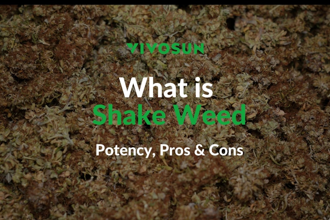 Shake Weed – What is Shakeweed or Weed Shake?