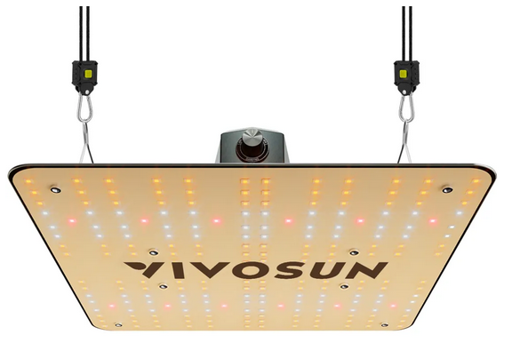 What You Need to Know About Grow Lights?