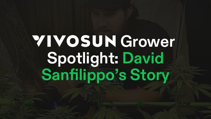VIVOSUN Grower Spotlight: David Sanfilippo's Story