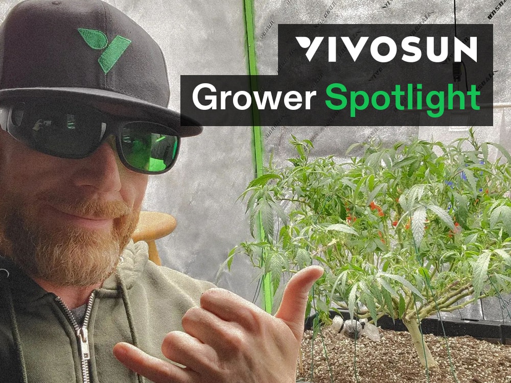 VIVOSUN Grower Spotlight: Nick's Story
