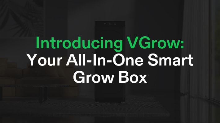 Introducing VGrow: Your All-In-One Smart Grow Box