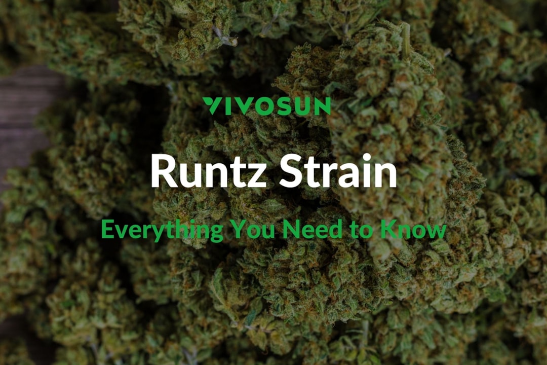 Runtz Strain: A Detailed Overview