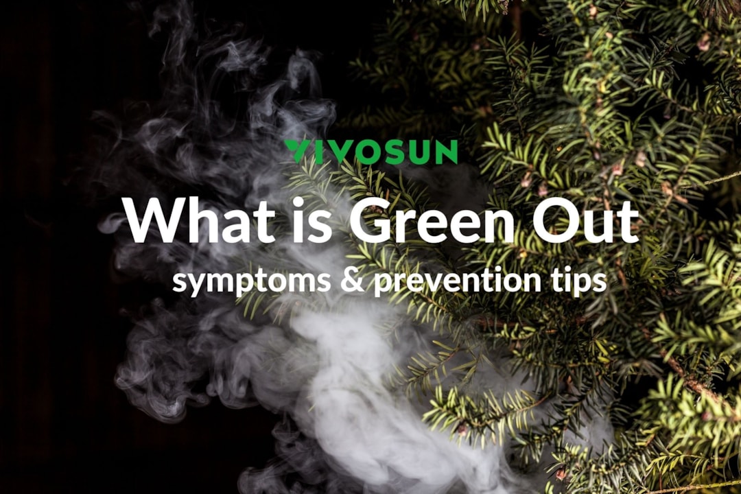 What Happens When You Green Out? 4 Ways to Prevent It