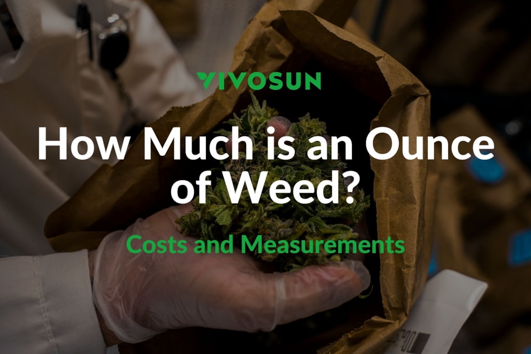 How Much is an Ounce of Weed: Understanding the Cost and Measurement