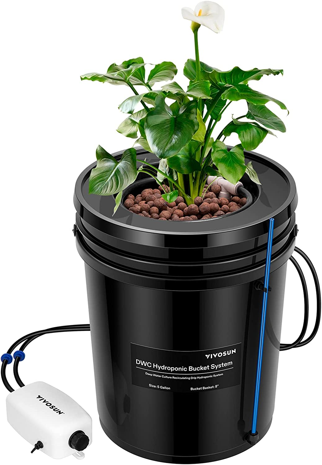 DWC Hydroponic Systems VS. Ebb and Flow Hydroponic Systems