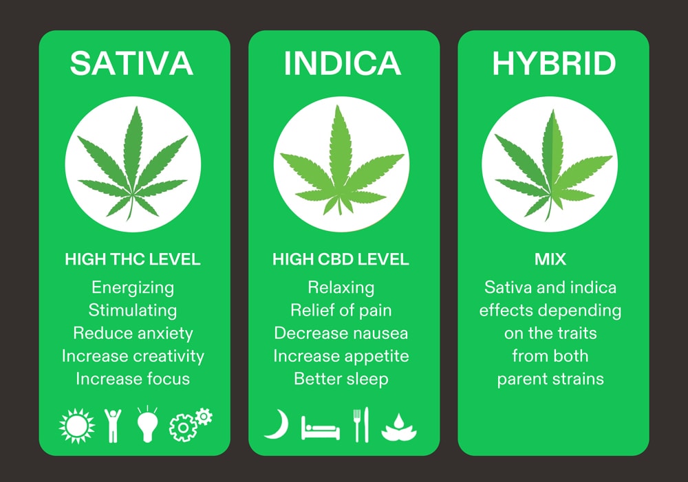 The difference between varieties of Sativa, Indica, Hybrid