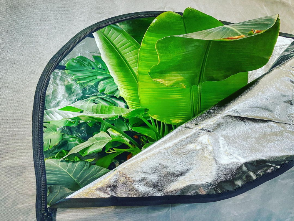 8 Common Mistakes to Avoid When Using LED Grow Lights