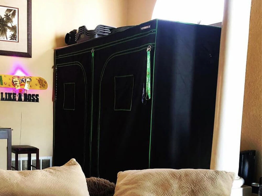Building A Grow Room: Easier Than You Think!