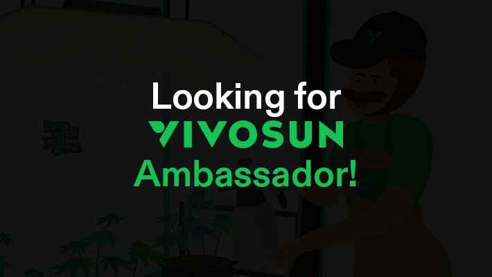Looking for VIVOSUN Ambassador!