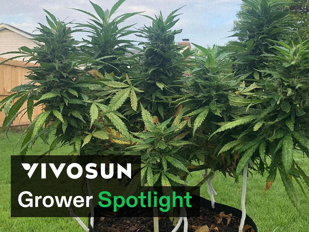 VIVOSUN Grower Spotlight: Don Hudson’s Story