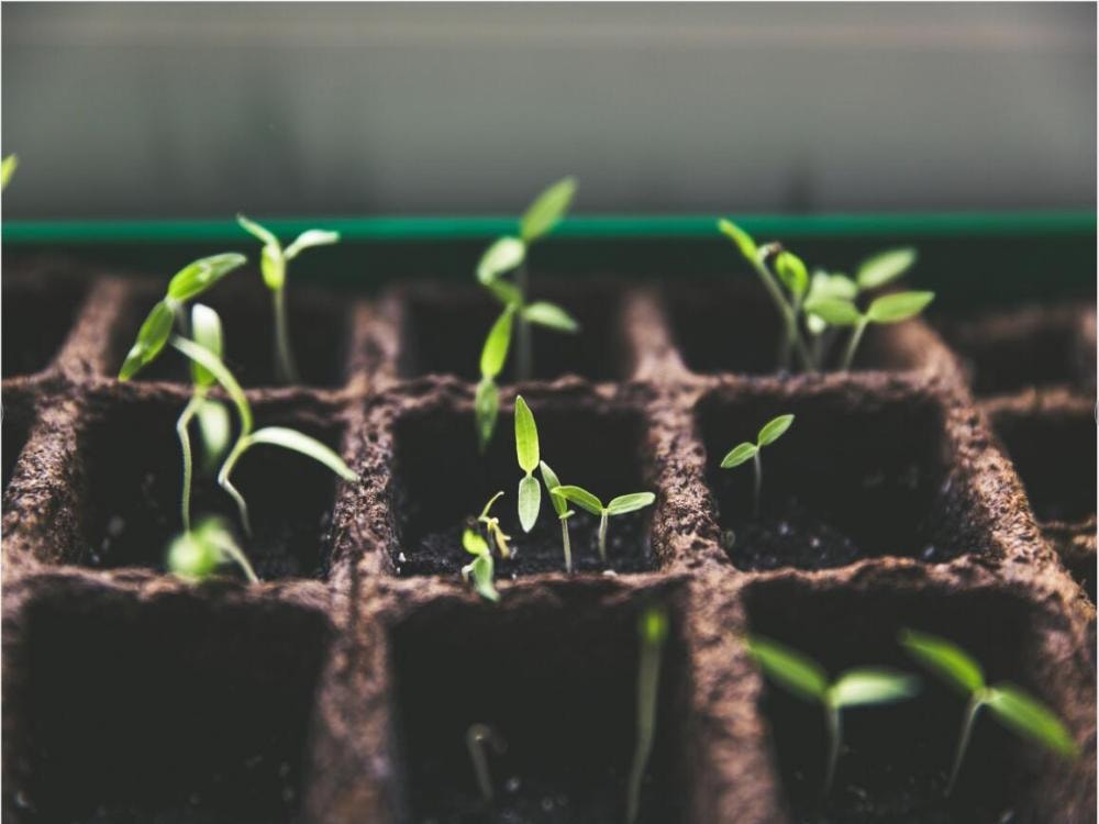 What is a Full Spectrum LED Grow Lights