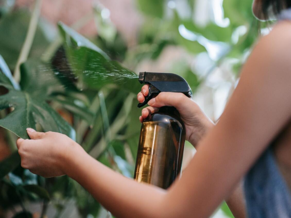 How do You Control Odor in a Grow Room