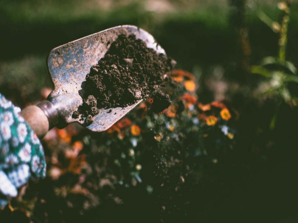 How to Improve the Soil in Your Garden