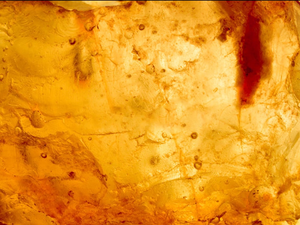 What Is Rosin and How to Make It?
