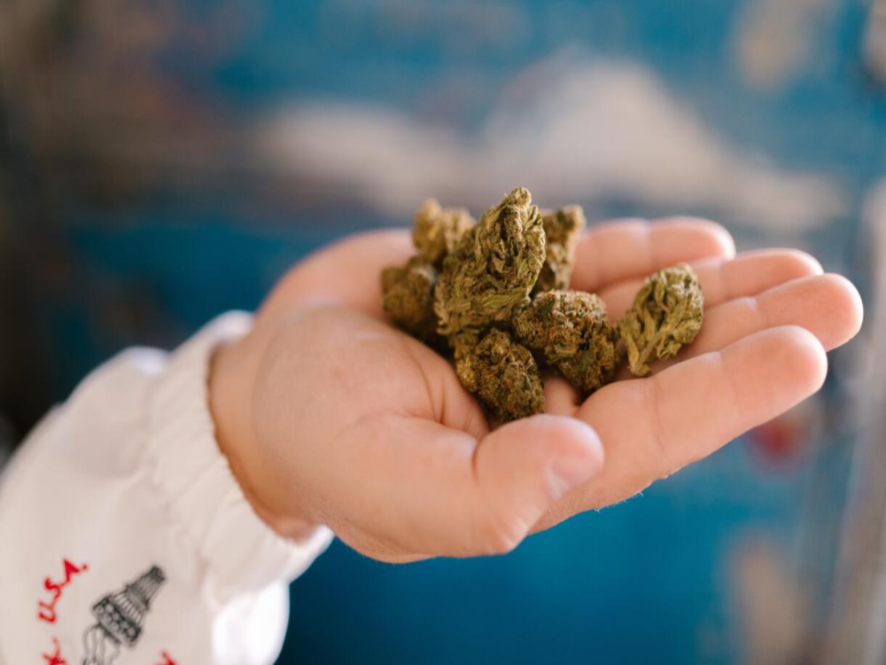 The Complete Guidance of Bud Washing: What, Why and How