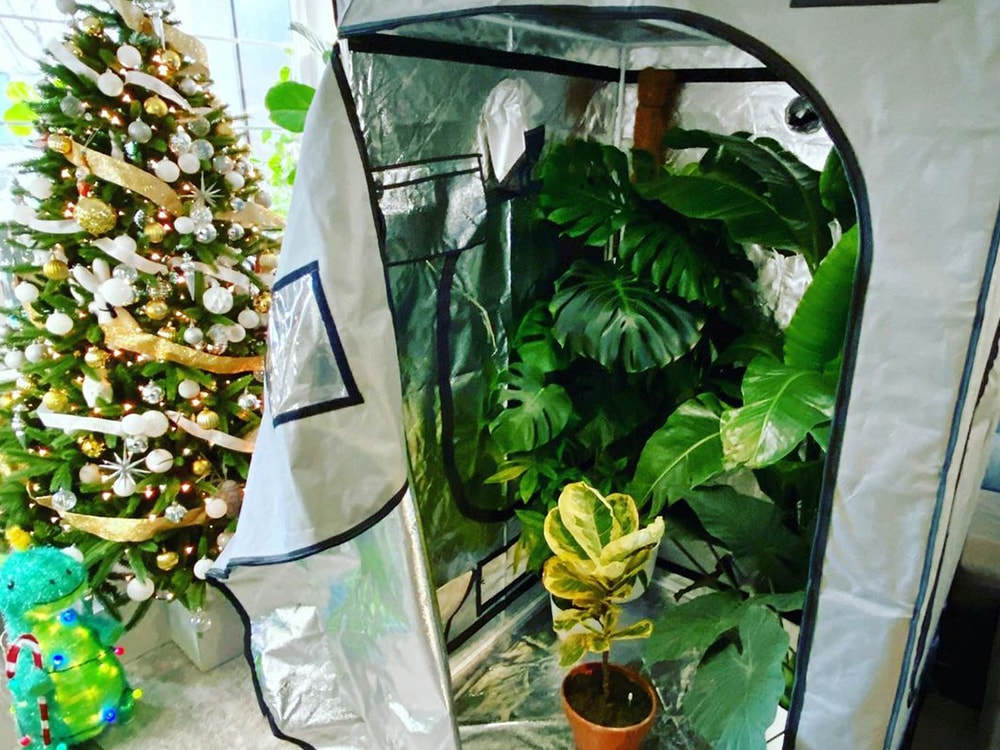 What are the Best Ways to Use LED Grow Lights for Indoor Growing?