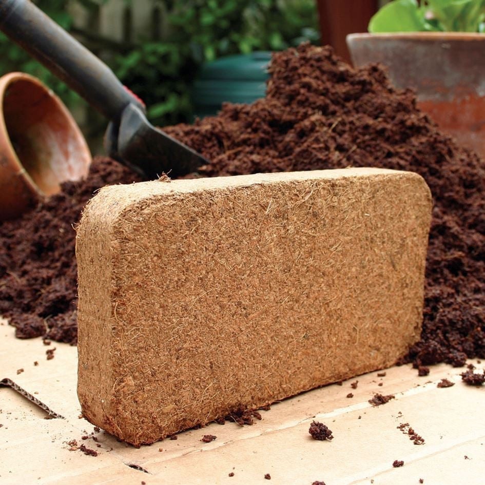 Growing Guide with Coco Coir