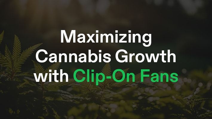 Clip On Fan Insights: Enhancing Cannabis Growth Through Optimal Air Circulation